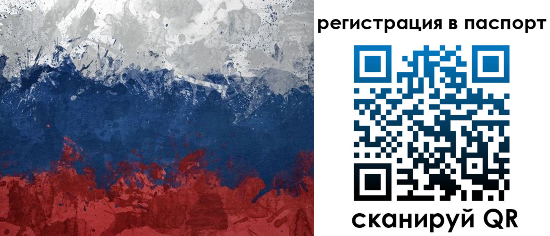 прописка гарантия в Каменск-Шахтинском